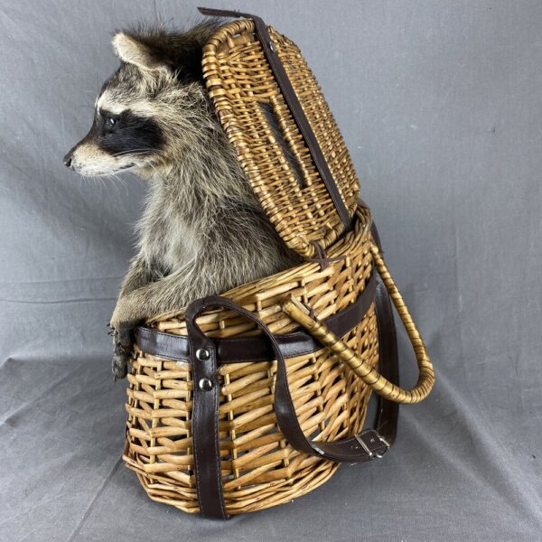 Raccoon (Fishing Basket)