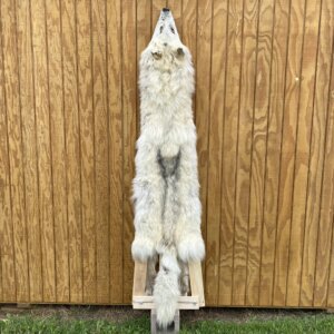 Timber Wolf Hide SQ8404