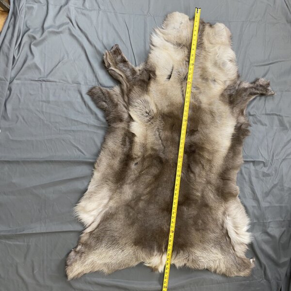 Reindeer hide