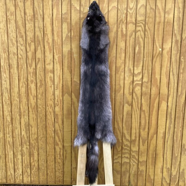 IMG_0774 Timber Wolf Hide SQ4716