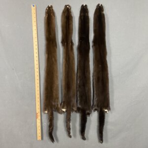 Mink hide (Ranch)