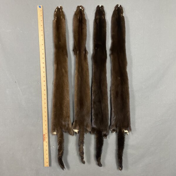 Mink hide (Ranch)