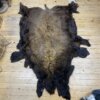 Buffalo hide #18