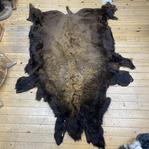 Buffalo hide #18