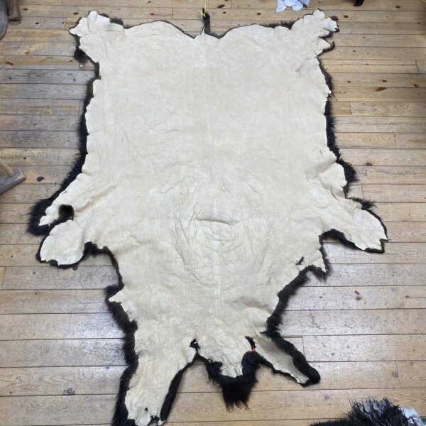 Buffalo hide #18