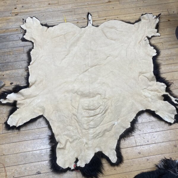 IMG_2147 Buffalo Hide #25