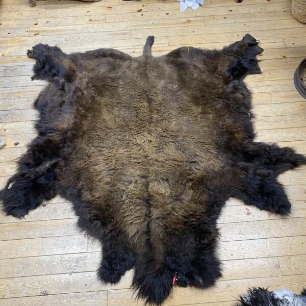IMG_2150 Buffalo Hide #25