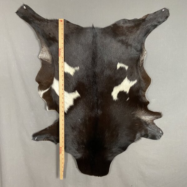 Goat Hide SQ0027