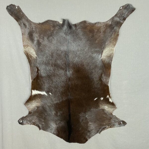 IMG_3580 Goat Hide SQ6748