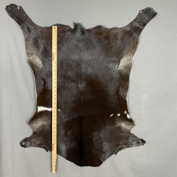 IMG_3581 Goat Hide SQ6748