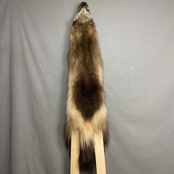 IMG_4137 Wolverine Hide SQ2078