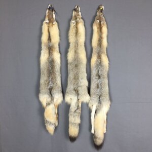 Swift Fox Hide