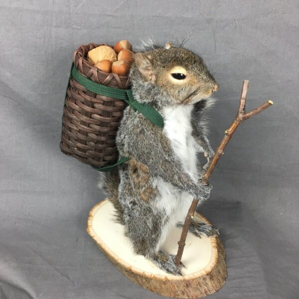 Squirrel With Basket