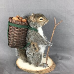 Squirrel With Basket