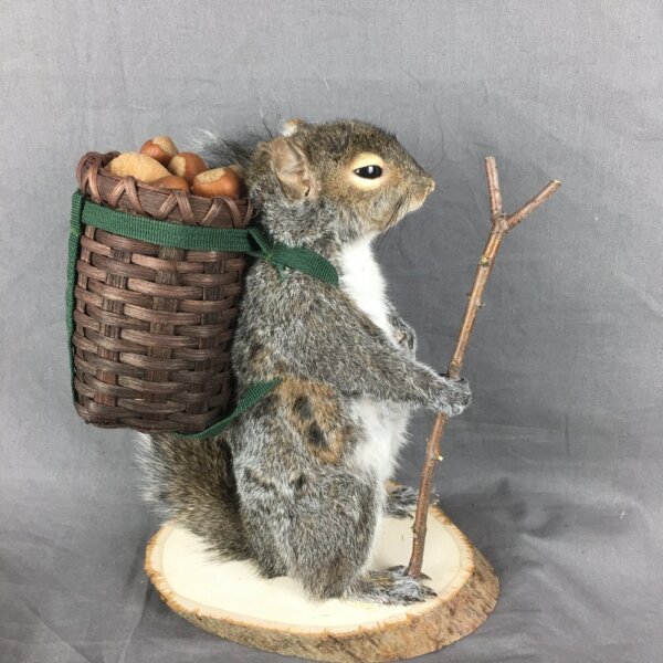 Squirrel With Basket