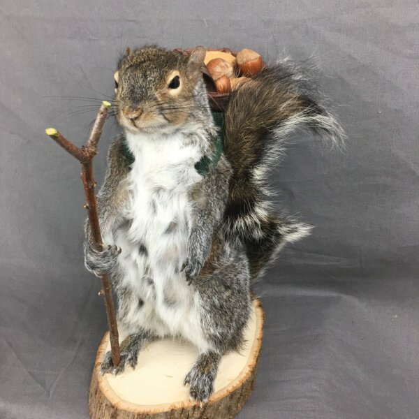Squirrel With Basket