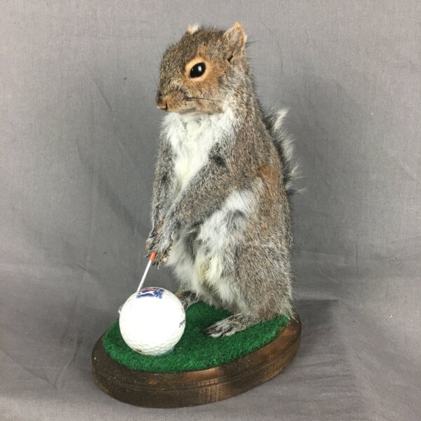 Squirrel Golfing Mount
