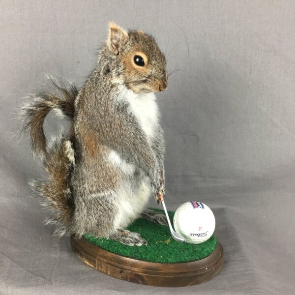 Squirrel Golfing Mount