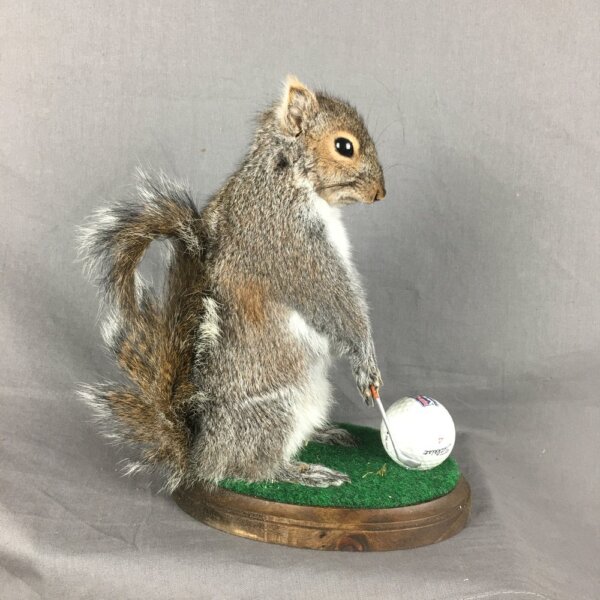 Squirrel Golfing Mount