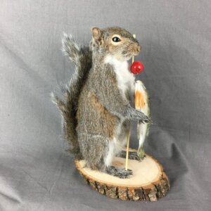 Squirrel Fisherman Mount With Bluegill