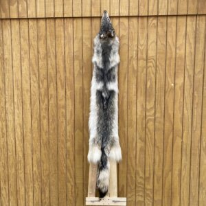 Timber Wolf Hide SQ1566P19