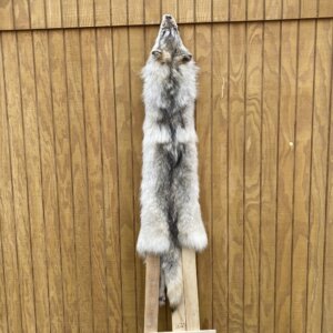 Timber Wolf Hide SQ4635P20