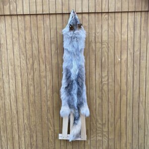 Timber Wolf Hide SQ2238P30
