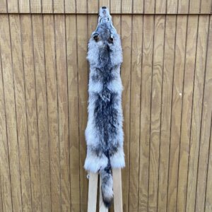 Timber Wolf Hide SQ6175P31