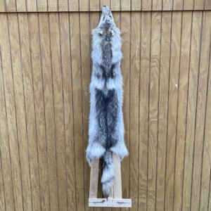 Timber Wolf Hide SQ4813p33
