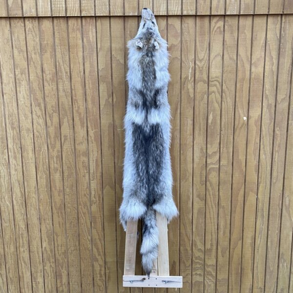 Timber Wolf Hide SQ4813p33