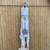 Timber Wolf Hide SQ4813p33