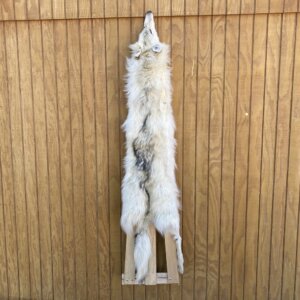 Timber Wolf Hide SQ2108p39