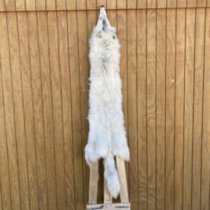 Timber Wolf Hide SQ2041p41