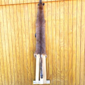 Cougar Hide SQ6427p2