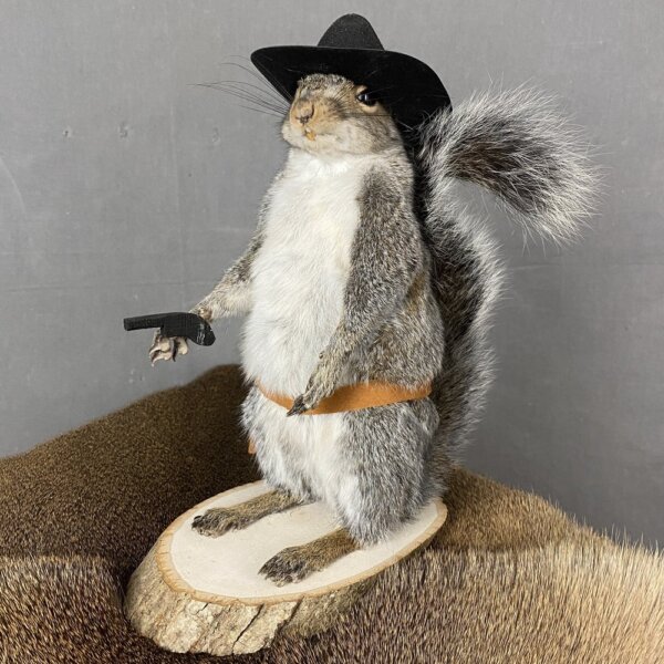 Squirrel Cowboy Mount
