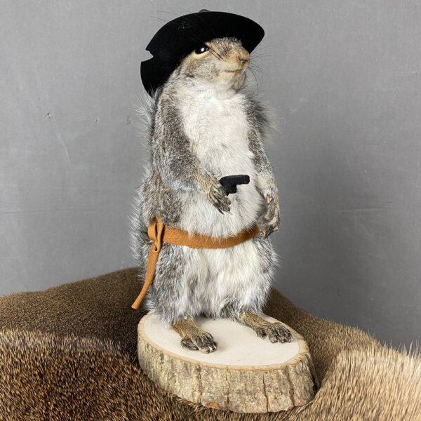 Squirrel Cowboy Mount