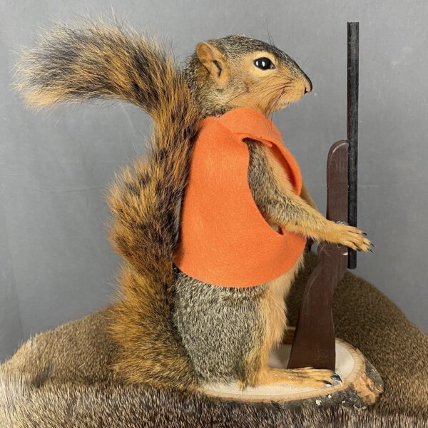 IMG_5066 Squirrel Hunter Mount