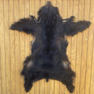 Black Bear Hide SQ6501p1