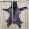 Black Bear Hide SQ1155p6