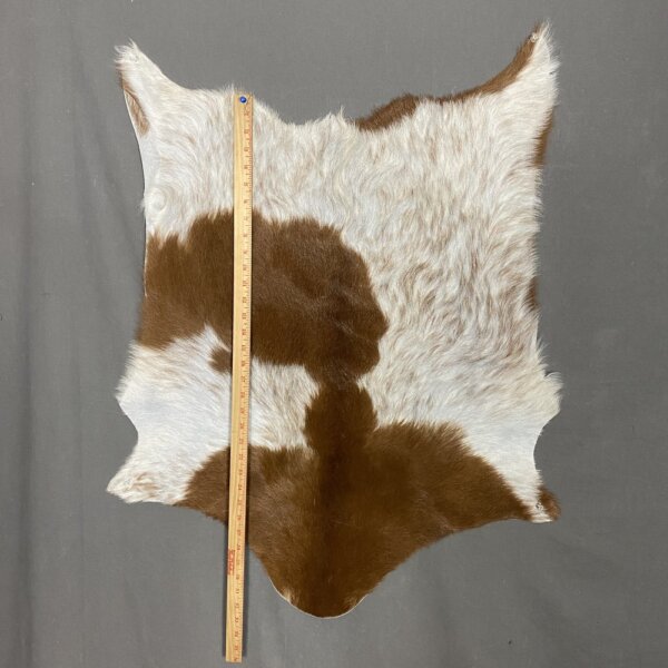 IMG_5544 Goat Hide SQ4147