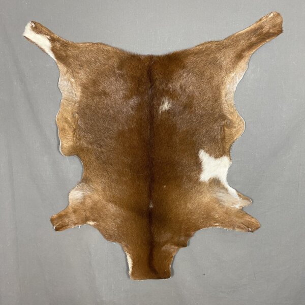 IMG_5619+3 Goat Hide SQ2147
