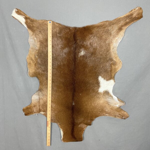IMG_5634+3 Goat Hide SQ2147