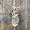 Jackalope Mount (Head Turned) SQ4850