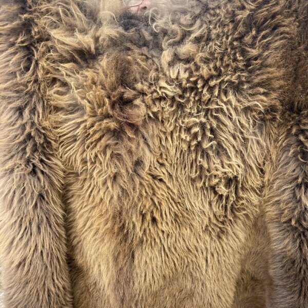 IMG_6886 Buffalo hide custom cut