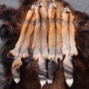 Cross Fox Hides