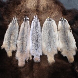 Badger Fur