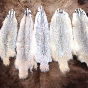 Badger Fur