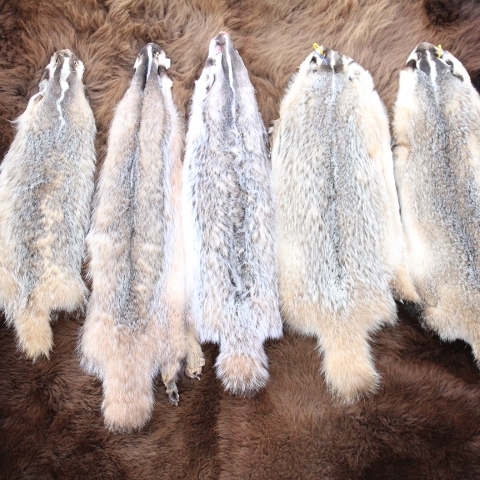 Badger Fur