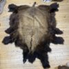 Buffalo Hide #3