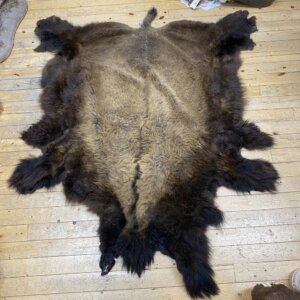 Buffalo Hide #3